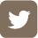 Twitter Twitter