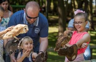 Bridlington Birds of Prey and Animal Park Bridlington Birds of Prey and Animal Park