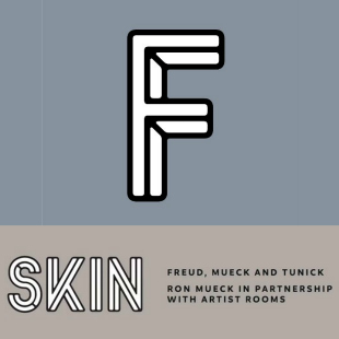 Skin at Ferens
