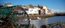 Harbour Harbour