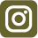 Wolds Instagram Icon