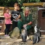 Sewerby Hall and Gardens Zoo