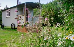 shepherds hut shepherds hut