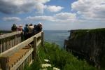 Bempton Cliffs Bempton Cliffs