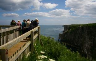 People on viewing point at Bempton Cliffs