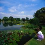 Burnby Hall and Gardens