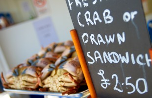 Fesh Crabs for sale