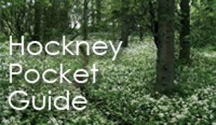 Hockney Pocket Guide Hockney Pocket Guide