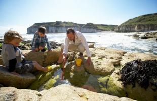 Family rockpooling 