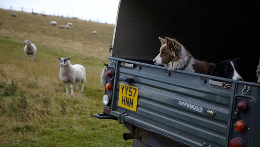 Farm Stays in East Yorkshire