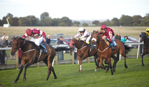 Beverley Races